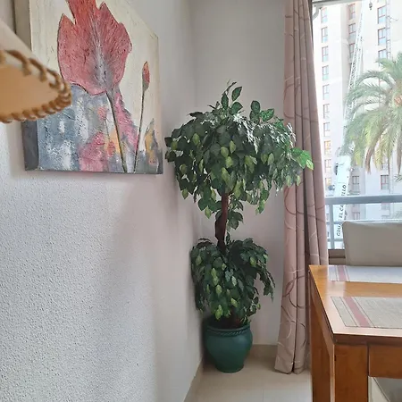 Tessa Apartamento Finestrat